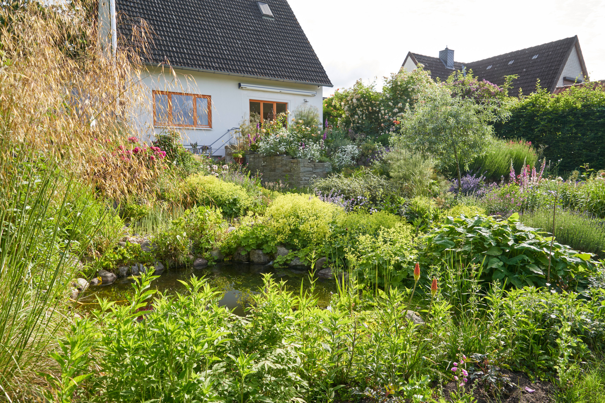 Sloping garden with white houses in the background