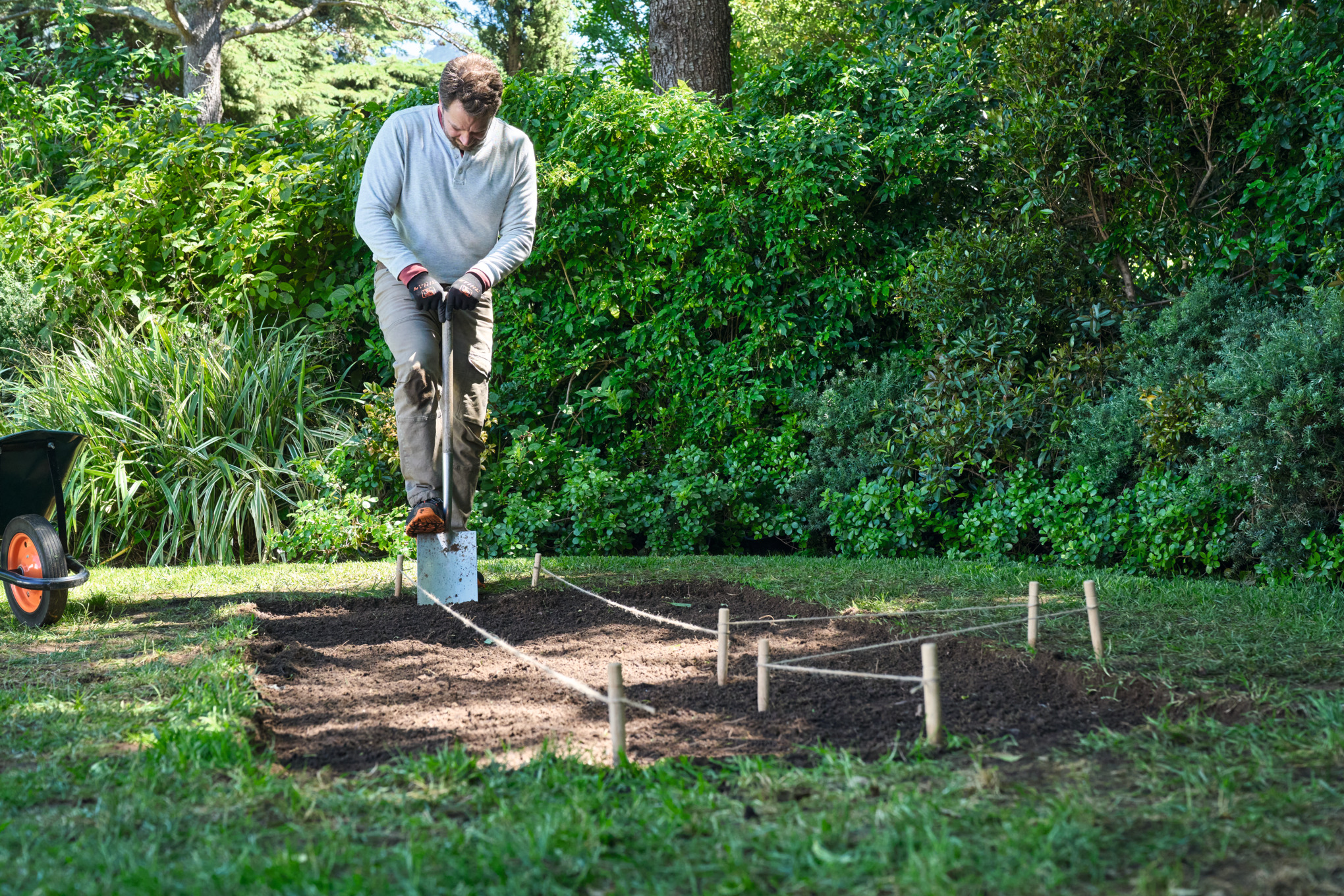 A man with a spade in his hand digs out a staked out bed path