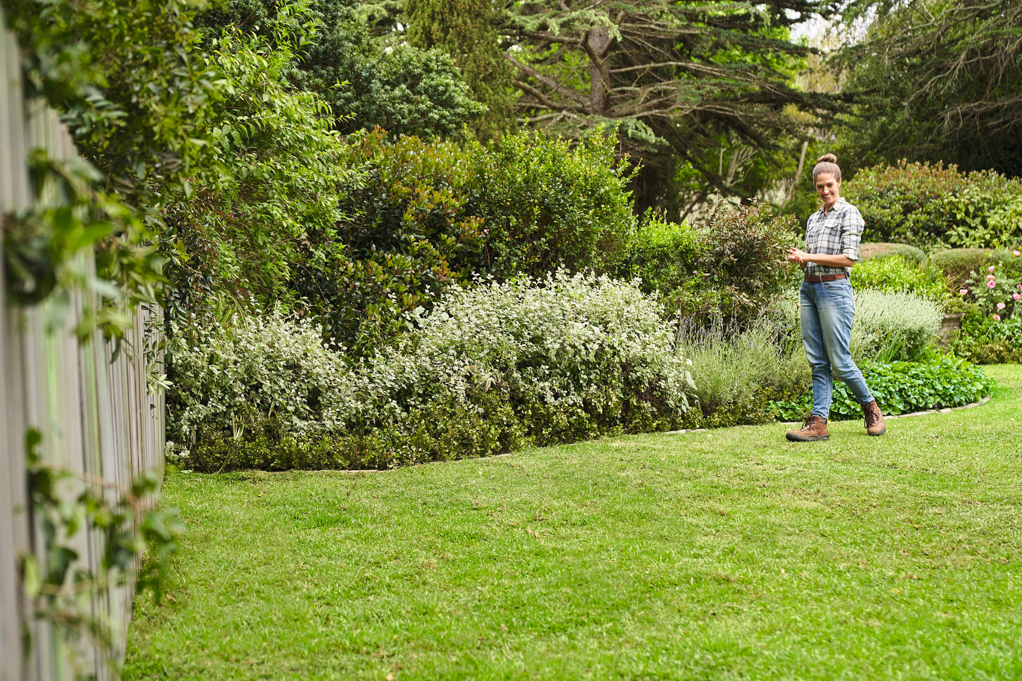 A woman in a large garden walking on newly laid rolled turf     