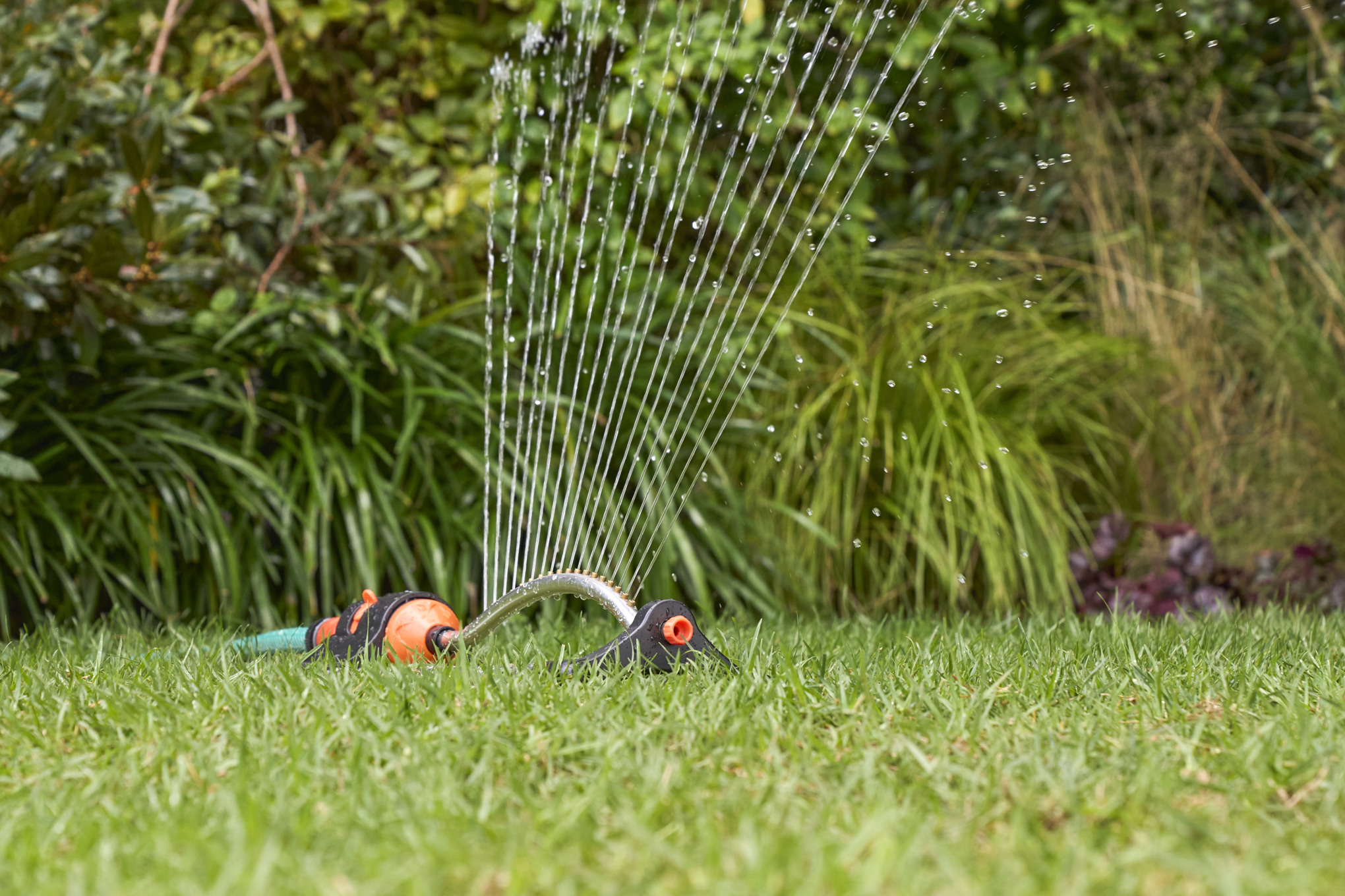 Garden Irrigation System Watering the Grass