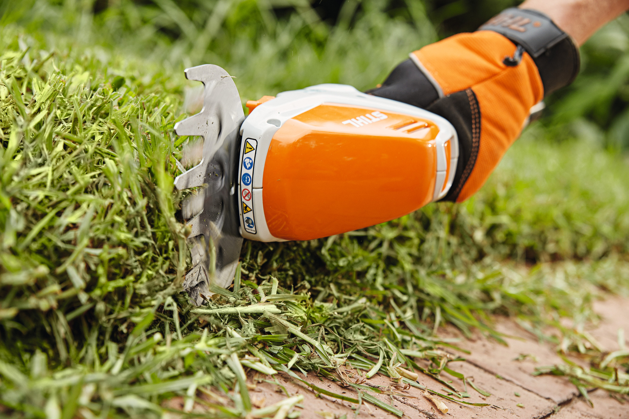 Stihl battery garden shears hsa 25 online