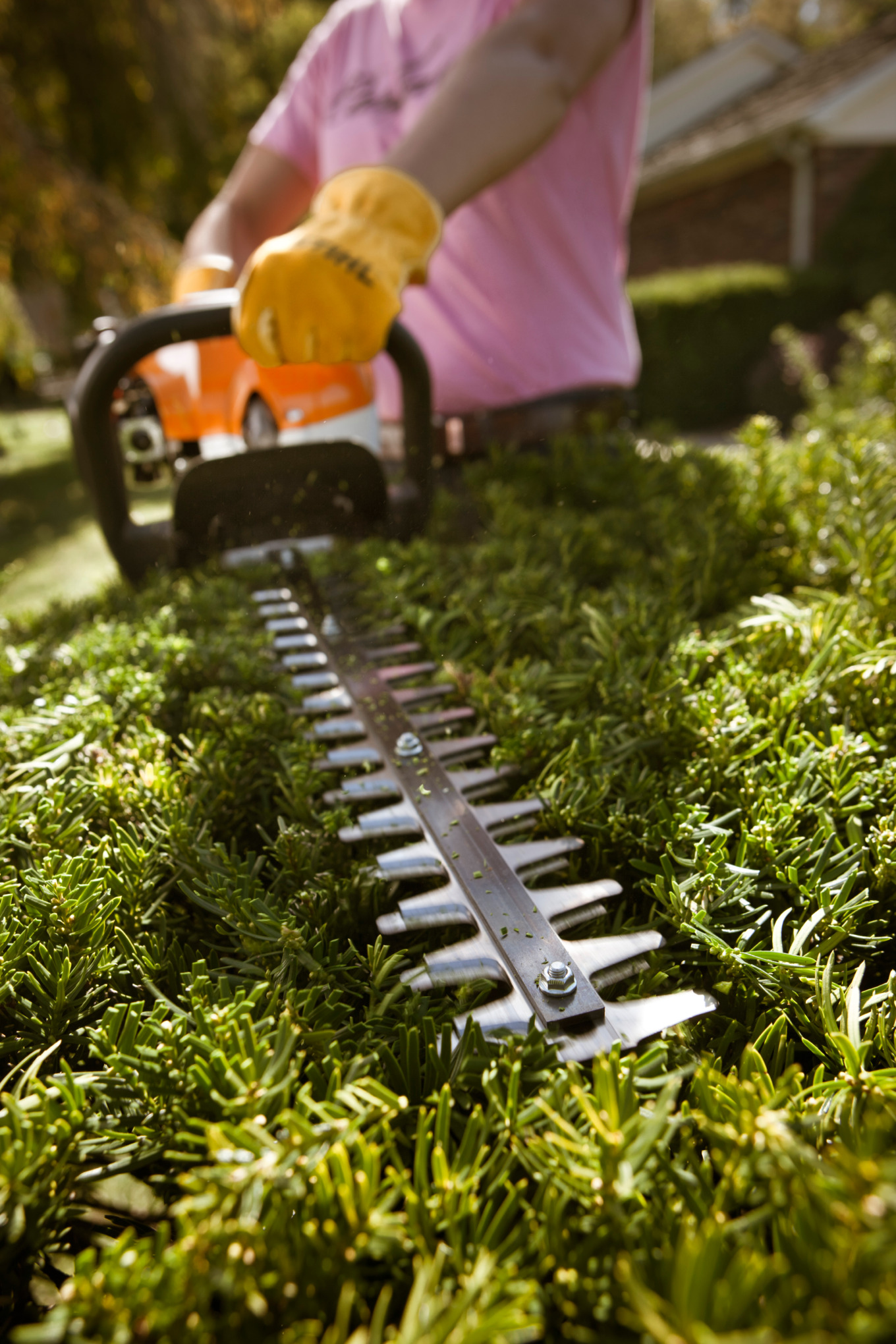 HS 45 Petrol Hedge Trimmer