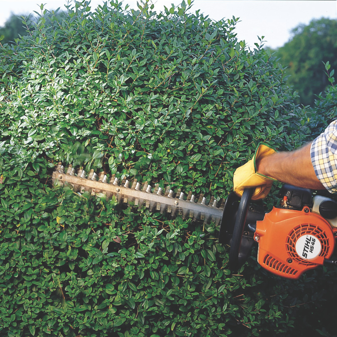 HS 45 Petrol Hedge Trimmer