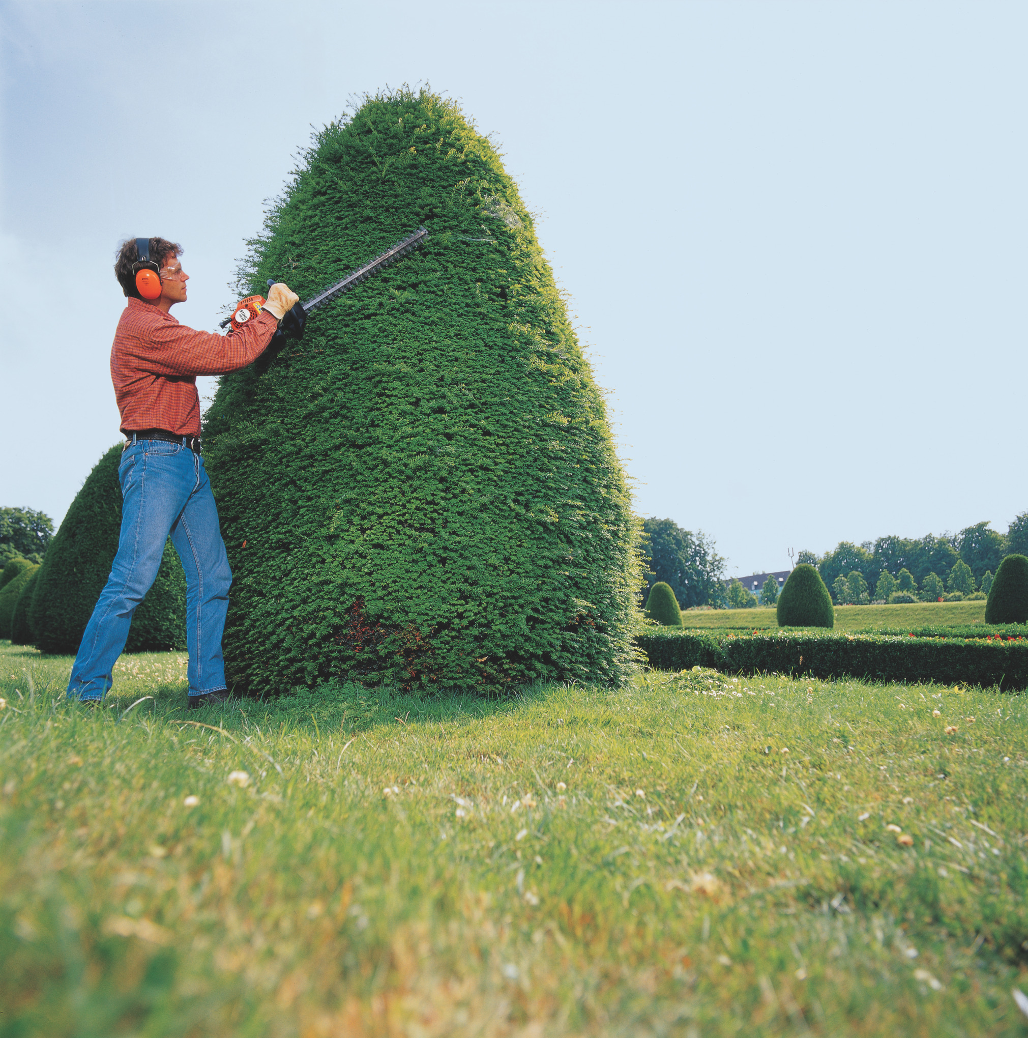 HS 45 Petrol Hedge Trimmer