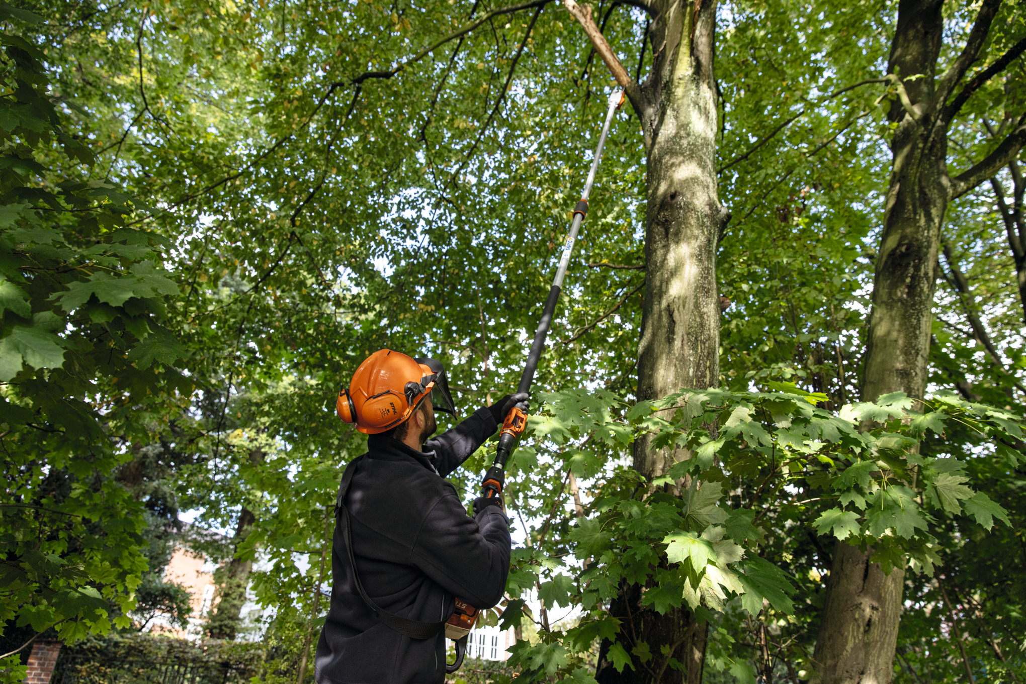 STIHL HTA 135 battery pole pruner from the AP-System