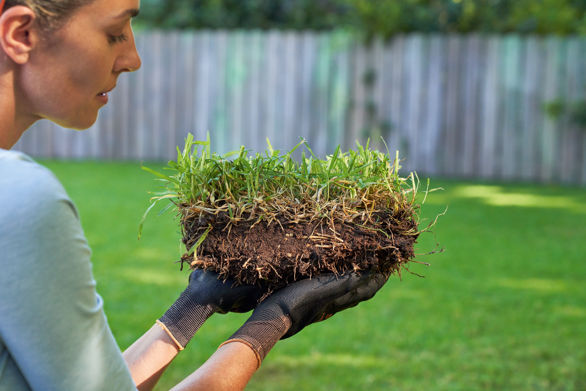 A woman holding a piece of grass in her hand before improving garden soil; green lawn and garden fence in the background
