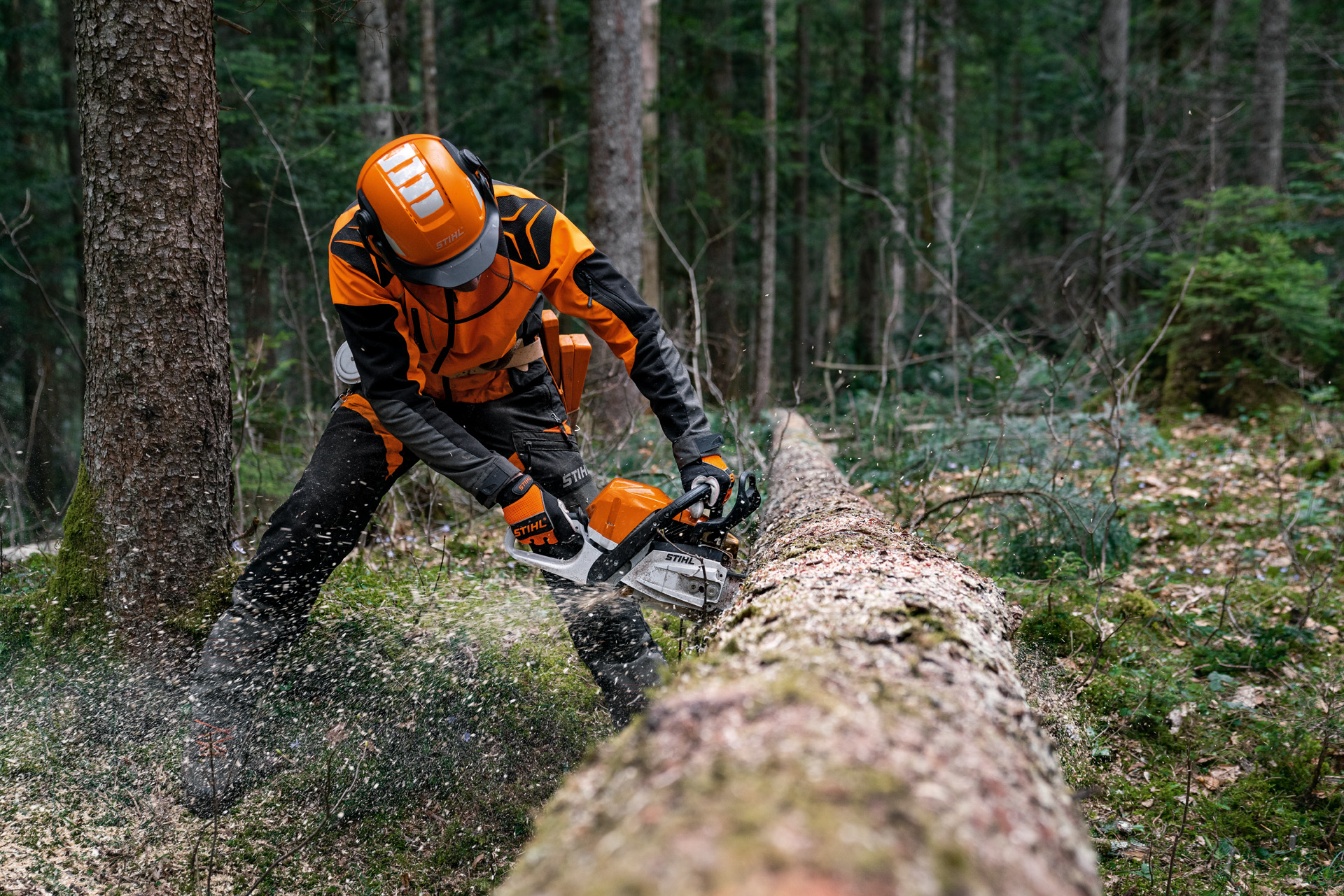 A man wearing protective equipment saws into a  tree trunk with a STIHL MS 400 C-M petrol chainsaw with magnesium piston