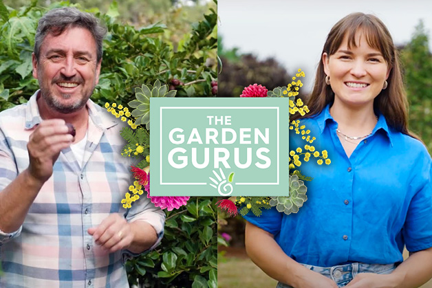 Garden Gurus