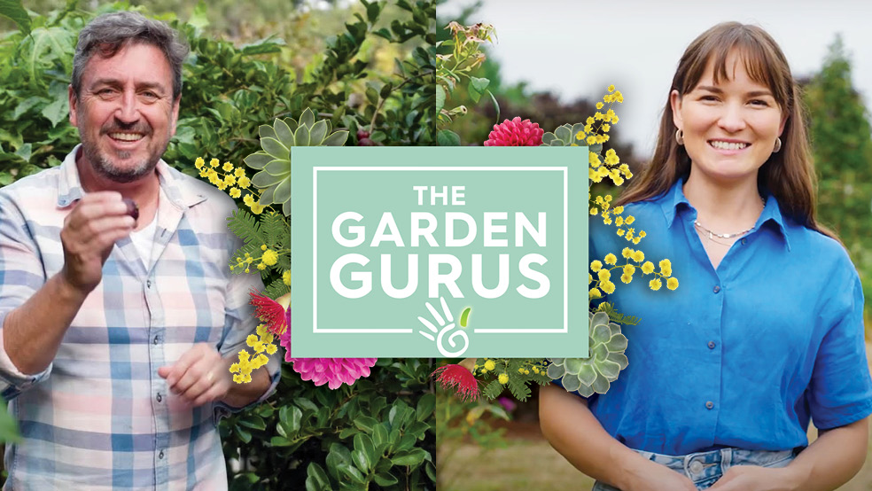 Garden Gurus
