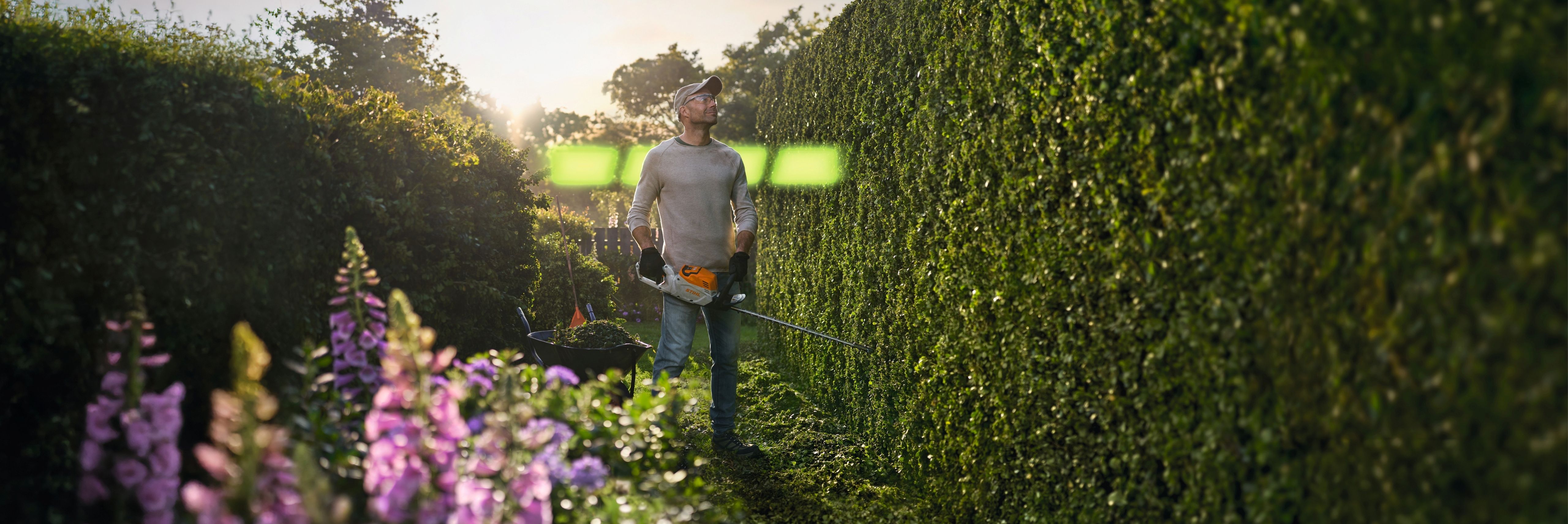 A man is trimming a hedge in a garden using a battery hedgetrimmer, charging lights appear.