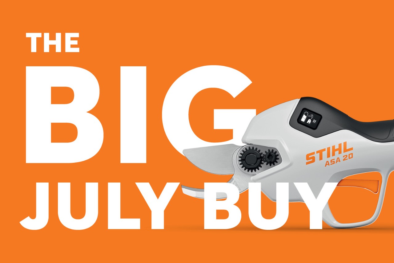 Big July Buy