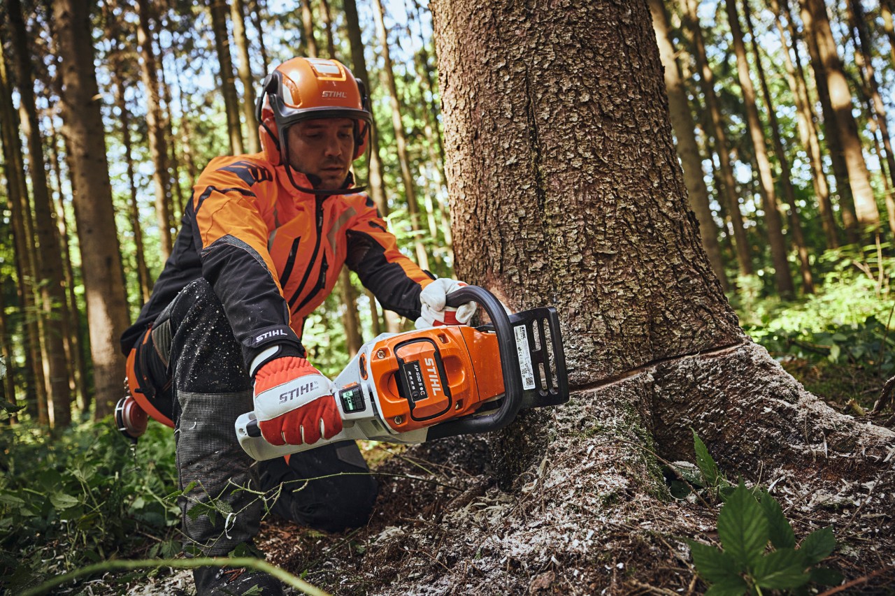 Man cutting tree down with MSA 300 C-O chainsaw